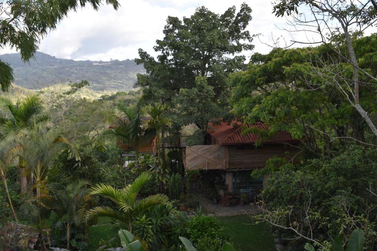 Chalets Huitaca Choachí Exteriér fotografie